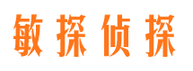 宁海侦探公司